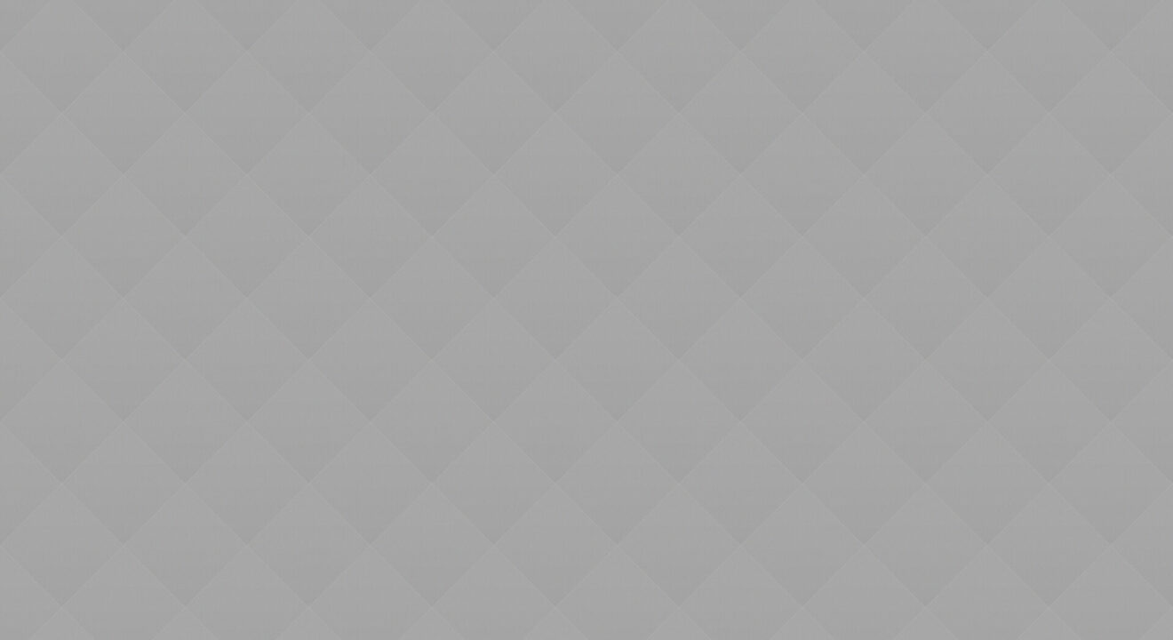 Book Presentation of Artist Novels