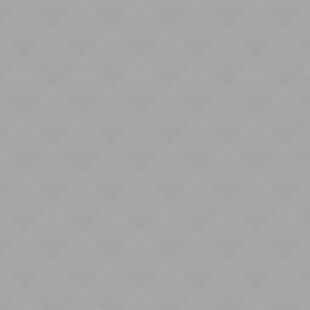 06 Book Presentation of Artist Novels